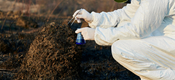 Environmental Risk Diagnosis in China
