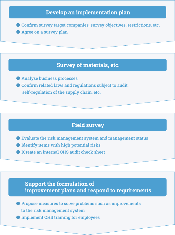 Workflow of OHS risk Management support