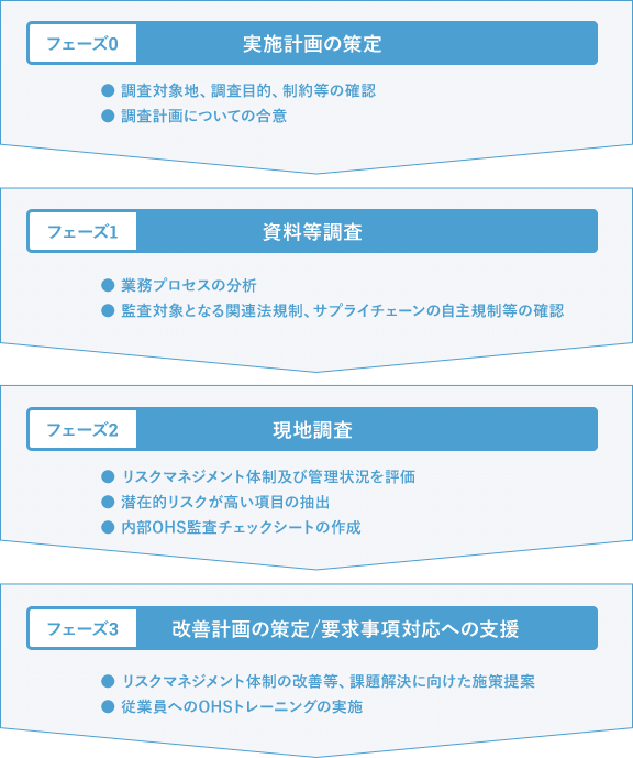 OHSリスク診断手順の一例