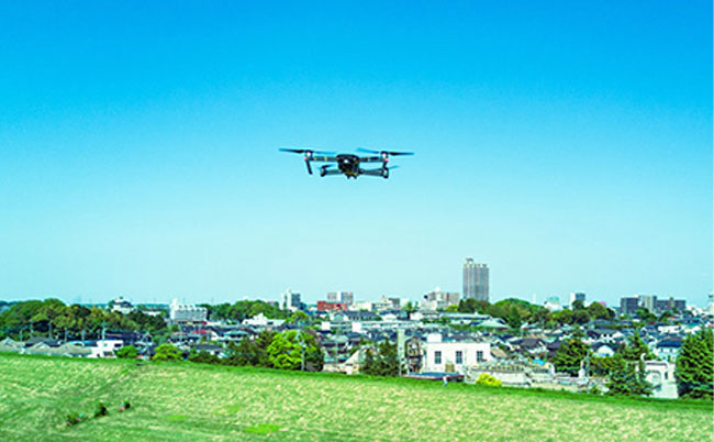 DLD(Distributed Learning and Development System)制度