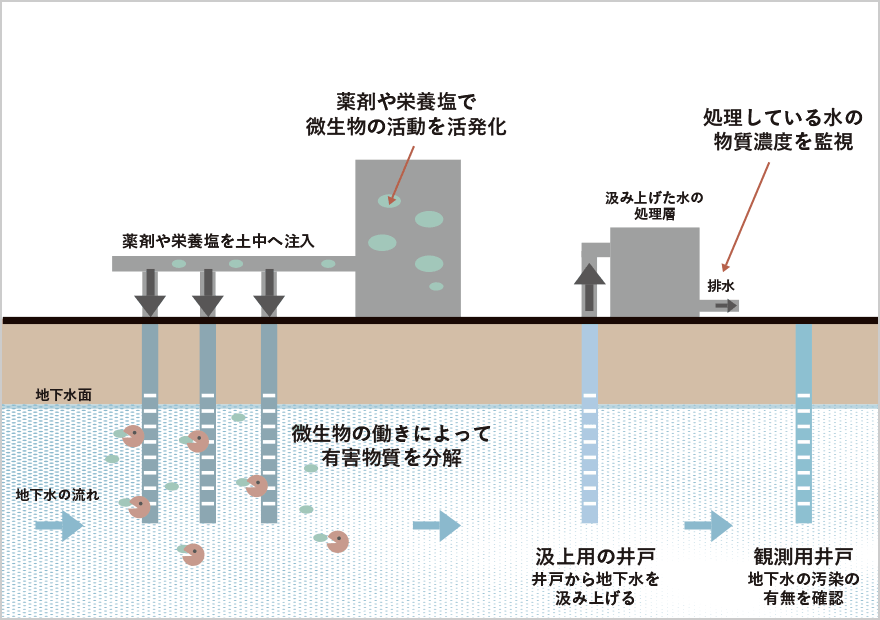 原位置浄化図